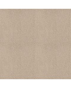 Shaw Find your comfort I - Tonal Happy Place T Carpet - SH-EA817-123T