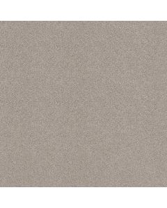 Shaw Find your comfort I - Tonal Shoreline Haze Carpet - SH-EA817-128T