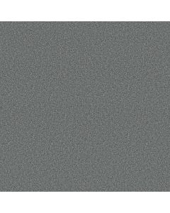 Shaw Find your comfort I - Tonal Misty Rain T Carpet - SH-EA817-529T