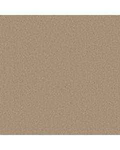 Shaw Find your comfort I - Tonal Walk On The Bea Carpet - SH-EA817-721T