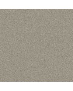 Shaw Find your comfort I - Tonal Back Patio T Carpet - SH-EA817-724T