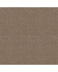 Shaw Find your comfort I - Tonal Camping Trip T Carpet - SH-EA817-749T