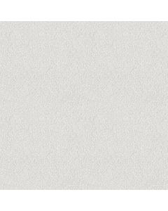 Shaw Find your comfort II - Tonal Wedding Day T Carpet - SH-EA818-150T