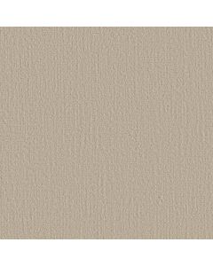 Shaw CREATING MEMORIES Homemade Ice Cr Carpet - SH-EA823-124P