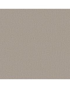 Shaw CREATING MEMORIES Shoreline Haze Carpet - SH-EA823-128P