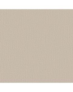 Shaw CREATING MEMORIES Champagne Toast Carpet - SH-EA823-153P