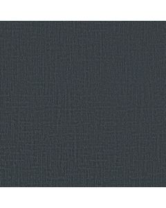 Shaw CREATING MEMORIES Washed Indigo Carpet - SH-EA823-440P