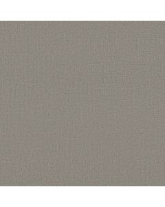 Shaw CREATING MEMORIES Restful Day Carpet - SH-EA823-512P