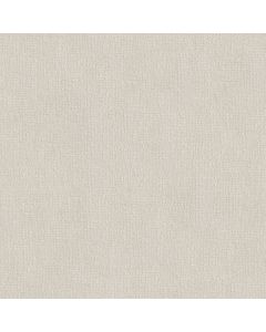 Shaw VIVID MEMORIES Champagne Toast Carpet - SH-EA833-00153