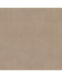 Shaw VIVID MEMORIES Walk On The Beach Carpet - SH-EA833-00721