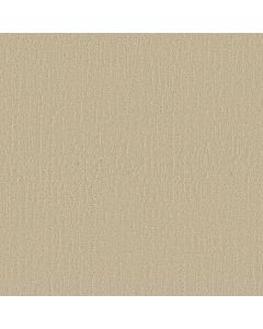 Shaw ENDLESS MEMORIES Sun Kissed Carpet - SH-EA834-00110