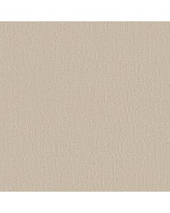 Shaw ENDLESS MEMORIES Happy Place Carpet - SH-EA834-00123