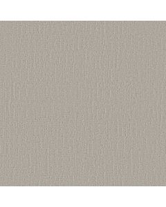 Shaw ENDLESS MEMORIES Shoreline Haze Carpet - SH-EA834-00128