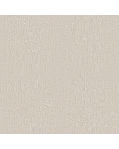 Shaw ENDLESS MEMORIES Champagne Toast Carpet - SH-EA834-00153