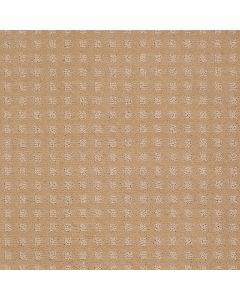 Shaw STYLE WITH EASE Natural Grain Carpet - SH-FS150-00103