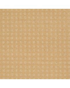 Shaw STYLE WITH EASE Butter Cream Carpet - SH-FS150-00200