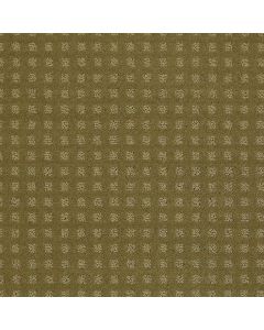 Shaw STYLE WITH EASE Aloe Carpet - SH-FS150-00300
