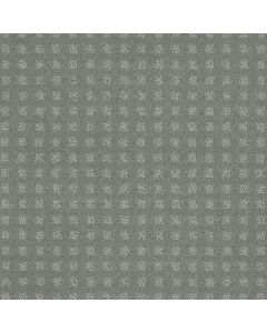 Shaw STYLE WITH EASE Clear Water Carpet - SH-FS150-00400