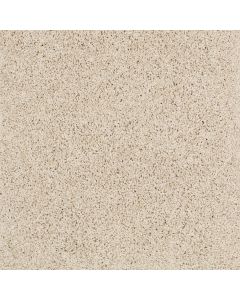 Shaw AROUND THE HOUSE II French Linen Carpet - SH-FS193-00103