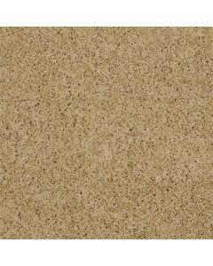 Shaw AROUND THE HOUSE II Taffeta Carpet - SH-FS193-00107