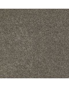 Shaw AROUND THE HOUSE II Grey Flannel Carpet - SH-FS193-00501