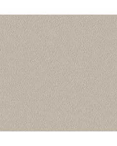 Shaw AROUND THE HOUSE III Polar Carpet - SH-FS194-00104