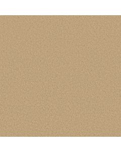 Shaw AROUND THE HOUSE III Blonde Cashmere Carpet - SH-FS194-00106