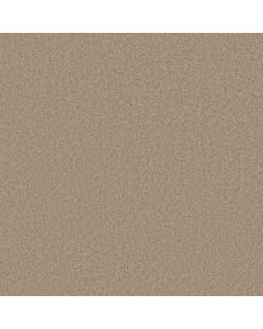Shaw AROUND THE HOUSE III Clay Stone Carpet - SH-FS194-00108