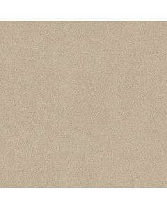 Shaw TIP OF THE HAT Canvas Carpet - SH-FS219-00103