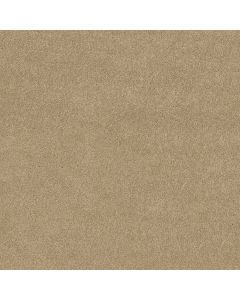 Shaw TIP OF THE HAT Field Stone Carpet - SH-FS219-00105