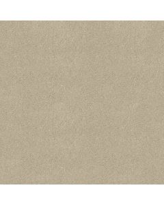 Shaw STEP RIGHT UP I 12' Creamy Tint Carpet - SH-FS230-00101