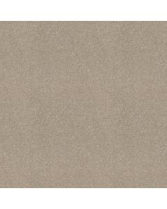 Shaw STEP RIGHT UP I 12' Ecru Carpet - SH-FS230-00103