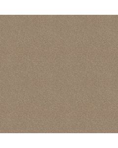 Shaw STEP RIGHT UP I 12' Almond Bark Carpet - SH-FS230-00106