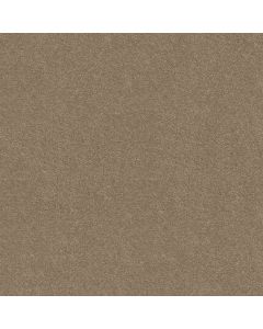 Shaw STEP RIGHT UP I 12' Honeycomb Carpet - SH-FS230-00200