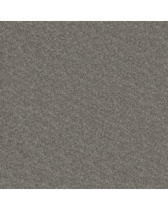 Shaw STEP RIGHT UP I 12' Thunder Carpet - SH-FS230-00503