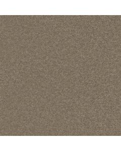 Shaw STEP RIGHT UP II 12' Wild Rice Carpet - SH-FS231-00105