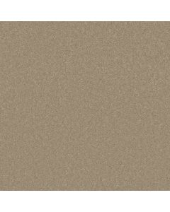 Shaw STEP RIGHT UP I 15' Almond Bark Carpet - SH-FS232-00106