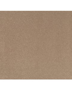 Shaw STEP RIGHT UP I 15' Natural Beige Carpet - SH-FS232-00700