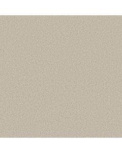 Shaw STEP RIGHT UP II 15' Fresco Carpet - SH-FS233-00100