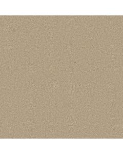 Shaw STEP RIGHT UP II 15' Agate Carpet - SH-FS233-00102