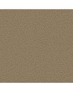 Shaw STEP RIGHT UP II 15' Honeycomb Carpet - SH-FS233-00200