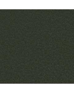 Shaw STEP RIGHT UP II 15' Aspen Carpet - SH-FS233-00302