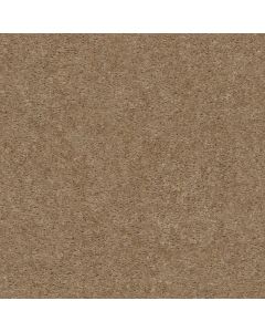 Shaw BANNING Stucco Carpet - SH-Q3899-00751