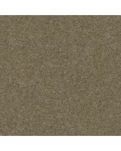 Shaw BANNING Boulder Carpet - SH-Q3899-00770