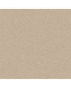 Shaw SANDY HOLLOW I 12' Pudding Carpet - SH-Q4273-00102
