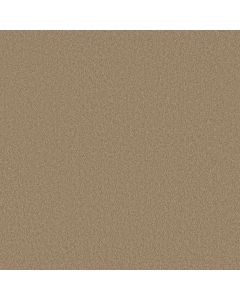 Shaw SANDY HOLLOW I 12' Adobe Carpet - SH-Q4273-00108