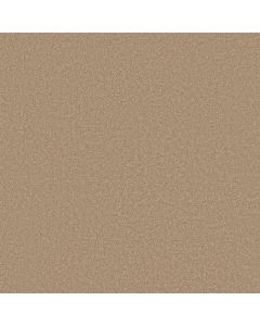 Shaw SANDY HOLLOW I 12' Stucco Carpet - SH-Q4273-00110