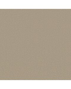 Shaw SANDY HOLLOW III 12' Oatmeal Carpet - SH-Q4277-00104
