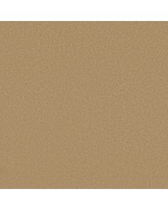 Shaw TIMELESS APPEAL I 12' Cornfield Carpet - SH-Q4310-00202