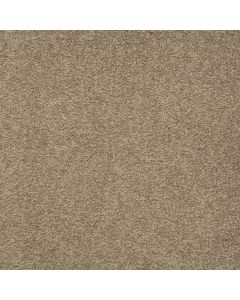 Shaw TIMELESS APPEAL II 12' Soft Shadow Carpet - SH-Q4312-00105